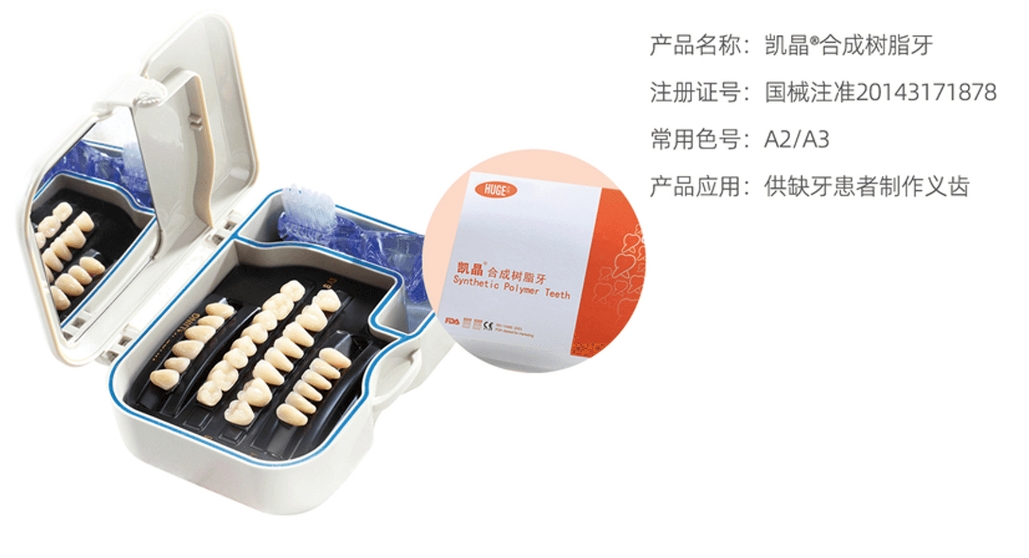 树脂牙1.png