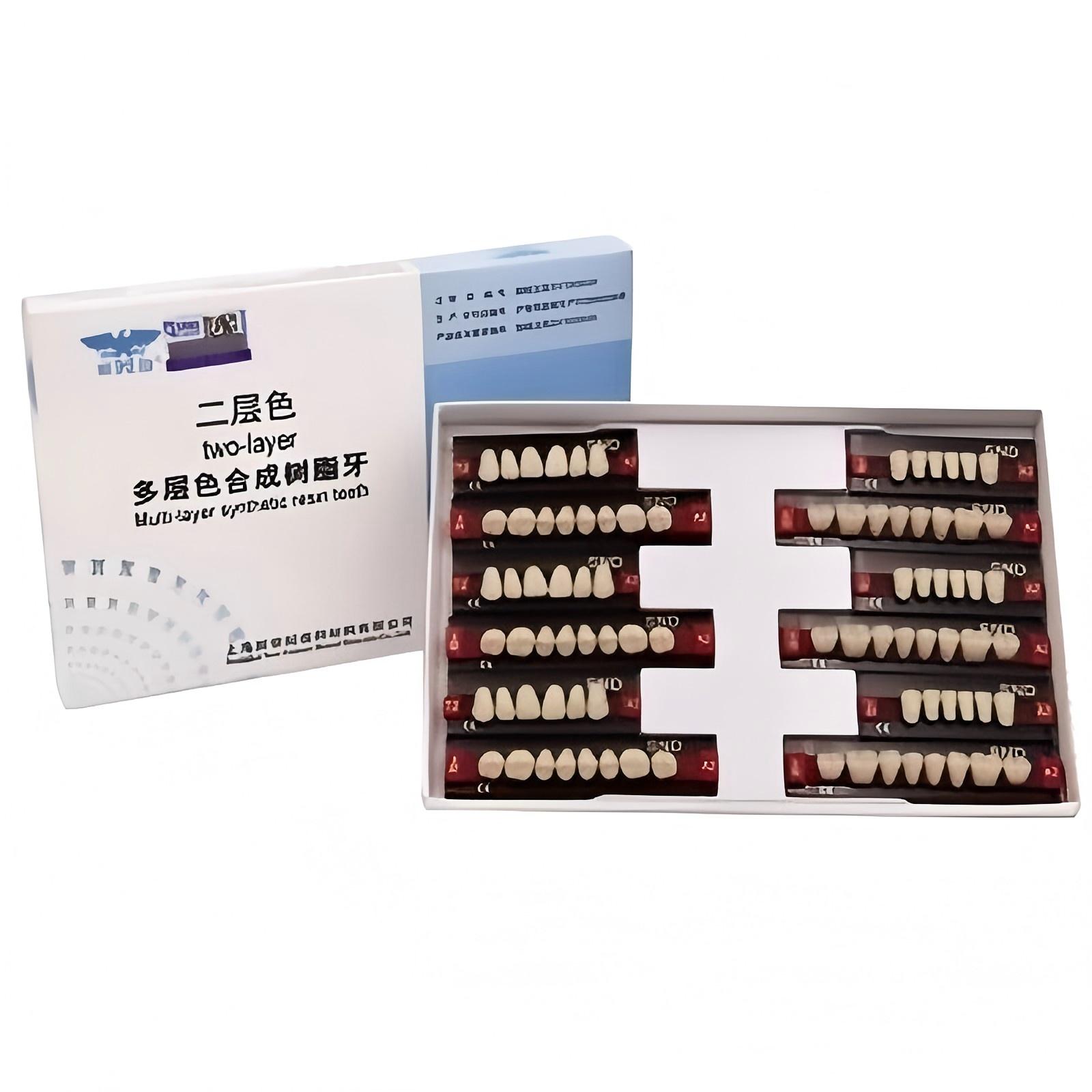 新世纪 多层色合成树脂牙 两层色树脂牙28*1全口 A2